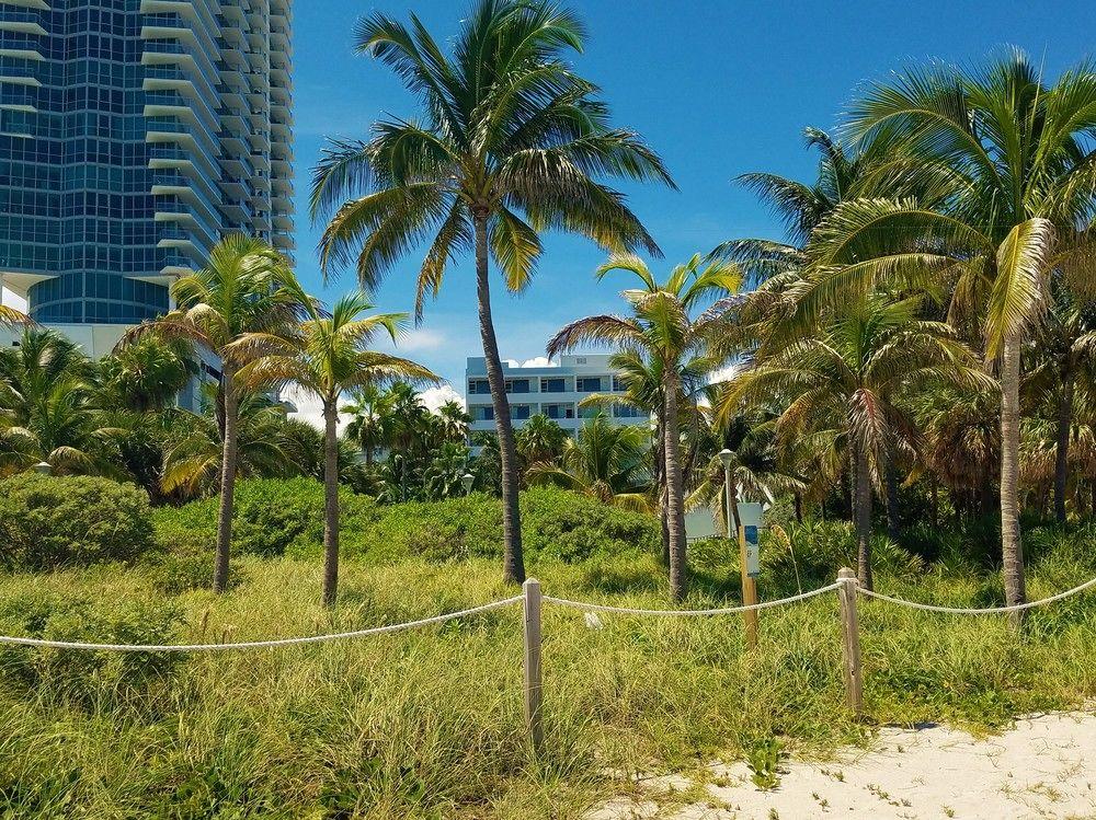 Seagull Hotel Miami Beach Bagian luar foto